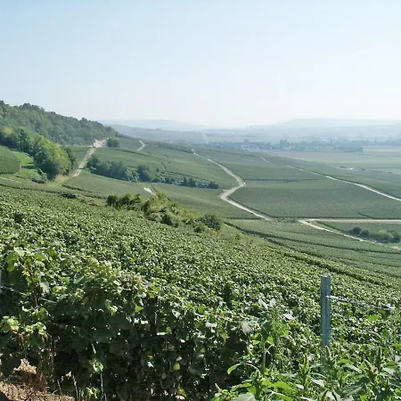 Le Du Vignoble *